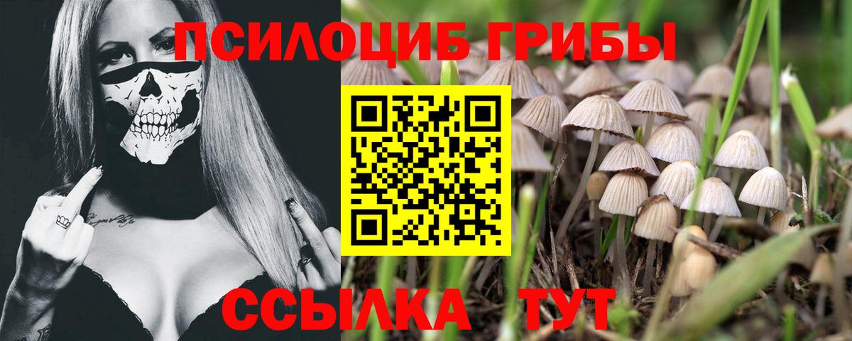 Галлюциногенные грибы MAGIC MUSHROOMS Искитим